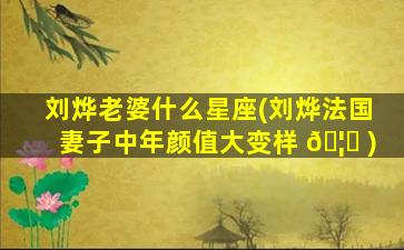 刘烨老婆什么星座(刘烨法国妻子中年颜值大变样 🦄 )
